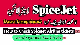 How to check Spiceject airline ticket onlineSpicejet Flight Ticket Status Kaise Check Karen [upl. by Adieren]