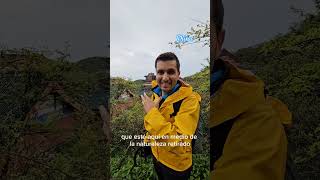 🛕 Un TEMPLO BUDISTA en medio de la MONTAÑA TIANMEN ⛰️ 🇨🇳 [upl. by Dnaltiac]