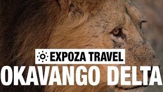 Okavango Delta Vacation Travel Video Guide [upl. by Analeh]