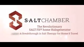 Portable Salt Therapy device The SALT FX® home Halogenerator [upl. by Sev]