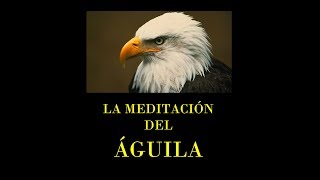 La MEDITACIÓN DEL ÁGUILA [upl. by Remmos]