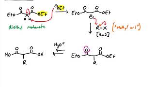 Malonic Ester Synthesis [upl. by Nariko336]