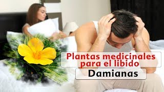 Las mejores plantas medicinales afrodisiacas 2da parte [upl. by Idell]