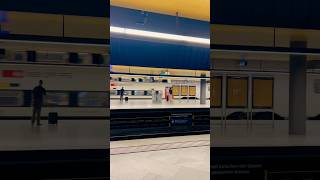 Zurich Hauptbahnhof 🇨🇭shortsfeed travel zurich switzerland [upl. by Kecaj]