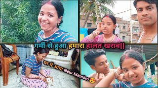 Garmi SE HUA Hamara HALAT Kharab🥵 Puja Akash vlogsviral vlog summer youtube family dog [upl. by Ejrog]