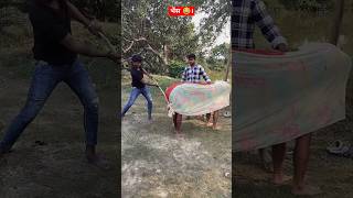 भैंस का दूध लगाते समय 😂 shorts trending comedy babajamun [upl. by Harman118]