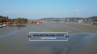 Waldschacher Teich  Südsteiermark [upl. by Atillertse715]