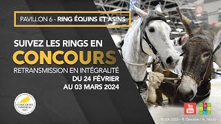 Ring Équins et Asins 27022024 [upl. by Trix]