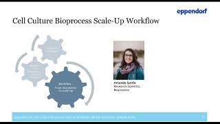 Cell Culture Bioprocess ScaleUp Workflow from Bench to PilotProduction Scale [upl. by Mckenna]