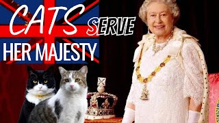 CATS IN THE SERVICE OF HER MAJESTY  LARRY the CAT  PALMERSTON Gladston Lawrence of Abdoun Freya [upl. by Icnarf]