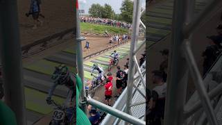 Geerts Cairoli Guillod Guadagnini Mewse MXGP of 🇳🇱 2024 start gate mxgp 4t ducati 450cc [upl. by Eikkin]