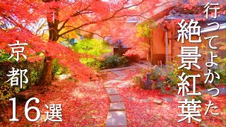 【京都紅葉の歩き方】おすすめ16選と絶景に出会える紅葉の攻略法解説付き 見頃 混雑  穴場 見どころ 旅行 観光  The Autumn Leaves spots of Kyoto [upl. by Tulley]