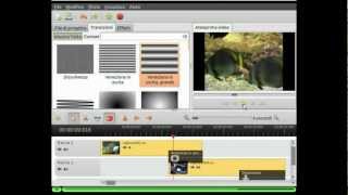 openshot tutorial italiano 22 [upl. by Asilram146]