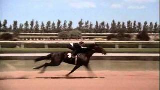 The Black Stallion Race Rescored Whit Return To Snowy River Music [upl. by Sprage]