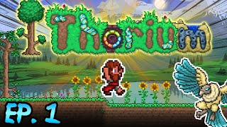 First Thorium Playthrough  Terraria  Thorium Mod [upl. by Lucila]