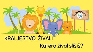 KRALJESTVO ŽIVALI  Katero žival slišiš  Kako se živali oglašajo  Ugani zvok živali  Glas živali [upl. by Materi]