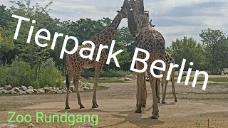 Tierpark Berlin Zoo Rundgang [upl. by Retse]