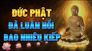 Đức Phật đã Luân Hồi Bao Nhiêu Kiếp  Bí Mật về Luân Hồi [upl. by Samalla770]