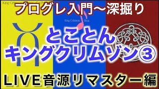 【プログレ解説】とことんキングクリムゾン❸【コレクター沼】 [upl. by Peatroy]