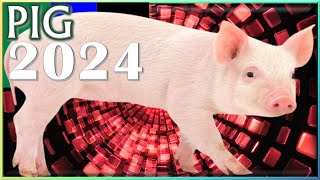 ✪ Pig Horoscope 2024 ✦ Born 2019 2007 1995 1983 1971 1959 1947 1935 [upl. by Amelie]