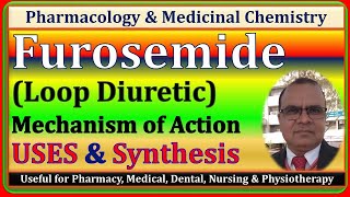 Furosemide Loop Diuretics  PharmacologyMedicinal Chemistry Sem 5th [upl. by Philly153]