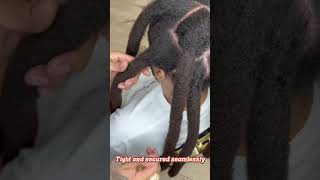 Dreads transformation reattachment wicks dreadsjourney locs hairstyle dreadlocks [upl. by Llevel755]