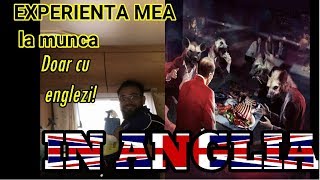 ❌vlog🎧La munca in Anglia doar cu englezi [upl. by Auhso793]