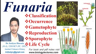 Funaria Life Cycle Gametophyte Sexual reproduction Fertilization funaria bryophytes bscbotany [upl. by Reggi]