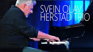 SVEIN OLAV HERSTAD TRIO  Bergen Jazzforum [upl. by Lune]