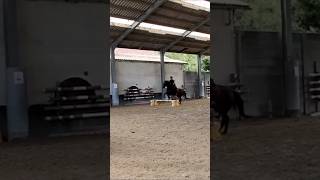 Jumping in a dressage lesson 🤫 [upl. by Anilram223]