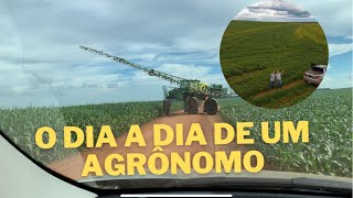 O dia a dia de um agrônomo Um pouco da minha profissão [upl. by Earazed81]