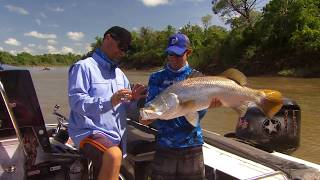 IFISH Daly River Northern Territory Barramundi [upl. by Hceicjow625]