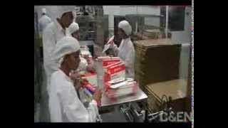 Inside the Indian Generic Drug Manufacturer Cipla [upl. by Eillom435]