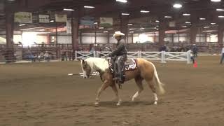 210717 ARHA World Show Ranchmanship Sweepstakes Chris Rice on Chic Out My Freckles [upl. by Eulalie]