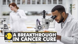 Medical Miracle A breakthrough in Cancer cure  International News  English News  WION [upl. by Drofdeb]