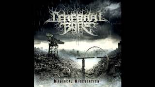 Cerebral Bore  Epileptic Strobe Entrapment Official Audio [upl. by Ashli]