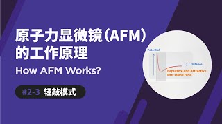 轻敲模式  原子力显微镜如何运作  Tapping Mode  How AFM Works [upl. by Ahsiad750]