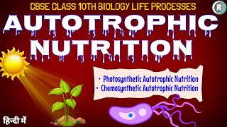 Autotrophic Nutrition Animation  Life Processes  Class 10th  CBSE  NCERT  Raah 9th amp10th [upl. by Arahs]