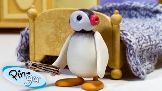 All About Pinga 🐧  Pingu  Official Channel  Cartoons For Kids [upl. by Colville]