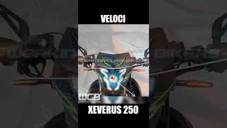 Veloci XEVERUS 250 🇲🇽 dobleproposito veloci 250cc [upl. by Eened]