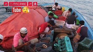 Longline Fishing longlinefishing karachi fishing pakistan [upl. by Eibur593]