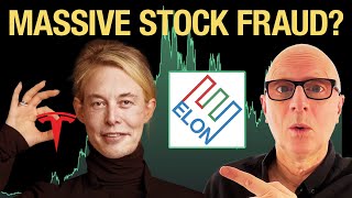 Elon Musk Tesla HUGE Stock Pump FRAUD Alleged [upl. by Faxan]