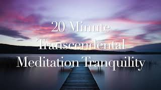 20 Minute Transcendental Meditation Music [upl. by Adnaerb715]