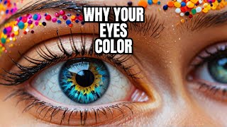 The Science of Eye Color Explained [upl. by Regen227]