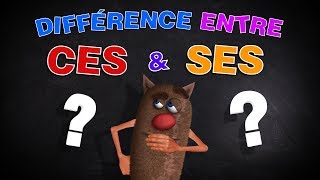 Foufou  Différence entre CES et SES pour les enfants Difference between CES and SES for Kids 4k [upl. by Roberta]