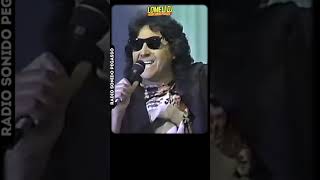 1991  Los Felinos  MORENA losfelinos lomelidj radiosonidopegasso [upl. by Elliven]