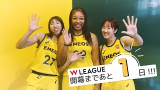 【女子バスケ】Wリーグ ENEOSサンフラワーズ ルーキー 田中こころ 八木悠香選手が 今季新加入の オコエ桃仁花 選手にインタビュー [upl. by Eelana]