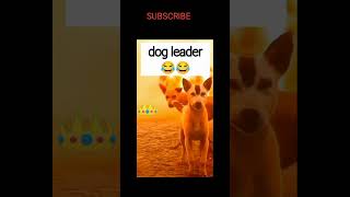 Dog attack 😂😂 funny trending funny ytshorts funnymemes [upl. by Ennovehc]