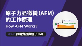 静电力显微镜  原子力显微镜如何运作  EFM  How AFM Works [upl. by Oirom]