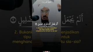 Surah Al Feel Best tilawat quran and beautiful voice [upl. by Atinomar]